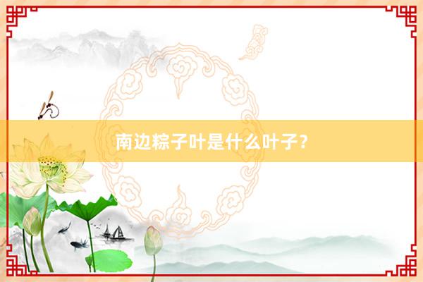 南边粽子叶是什么叶子?