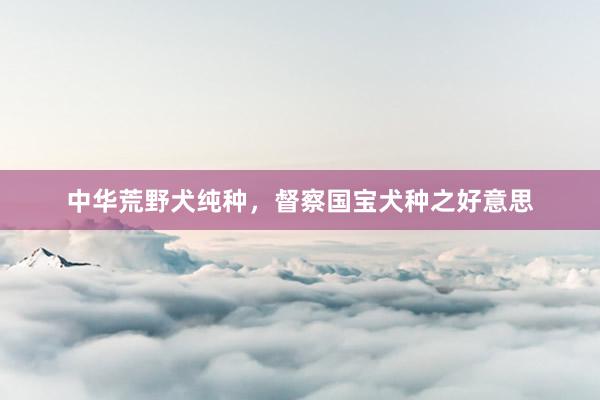 中华荒野犬纯种，督察国宝犬种之好意思