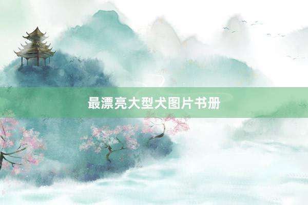最漂亮大型犬图片书册